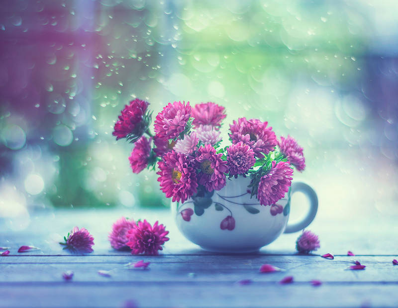 Cup of Spring by arefin03