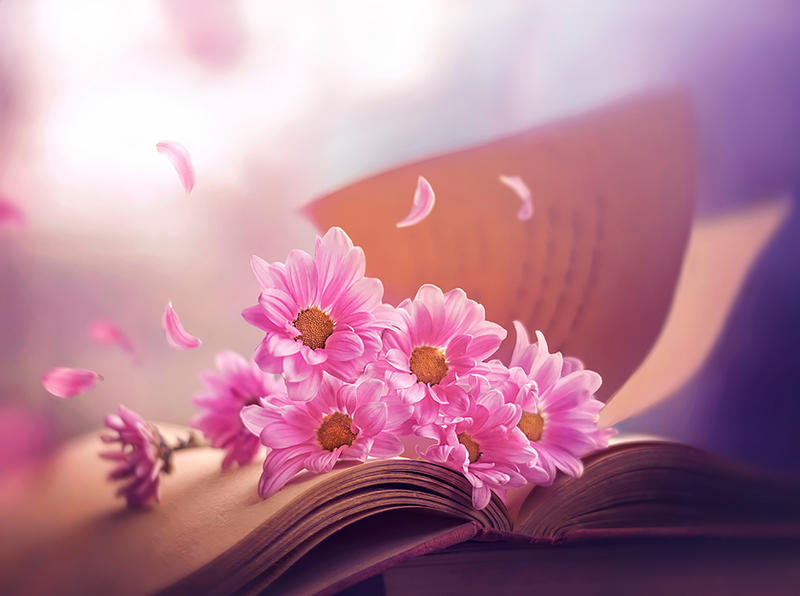 April stories by arefin03 April stories by arefin03