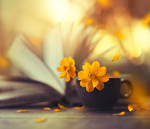 Midas touch by arefin03