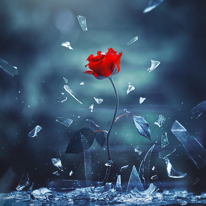 Love shall overcome by arefin03