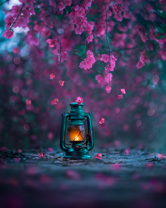 Light of Spring by arefin03 on DeviantArt