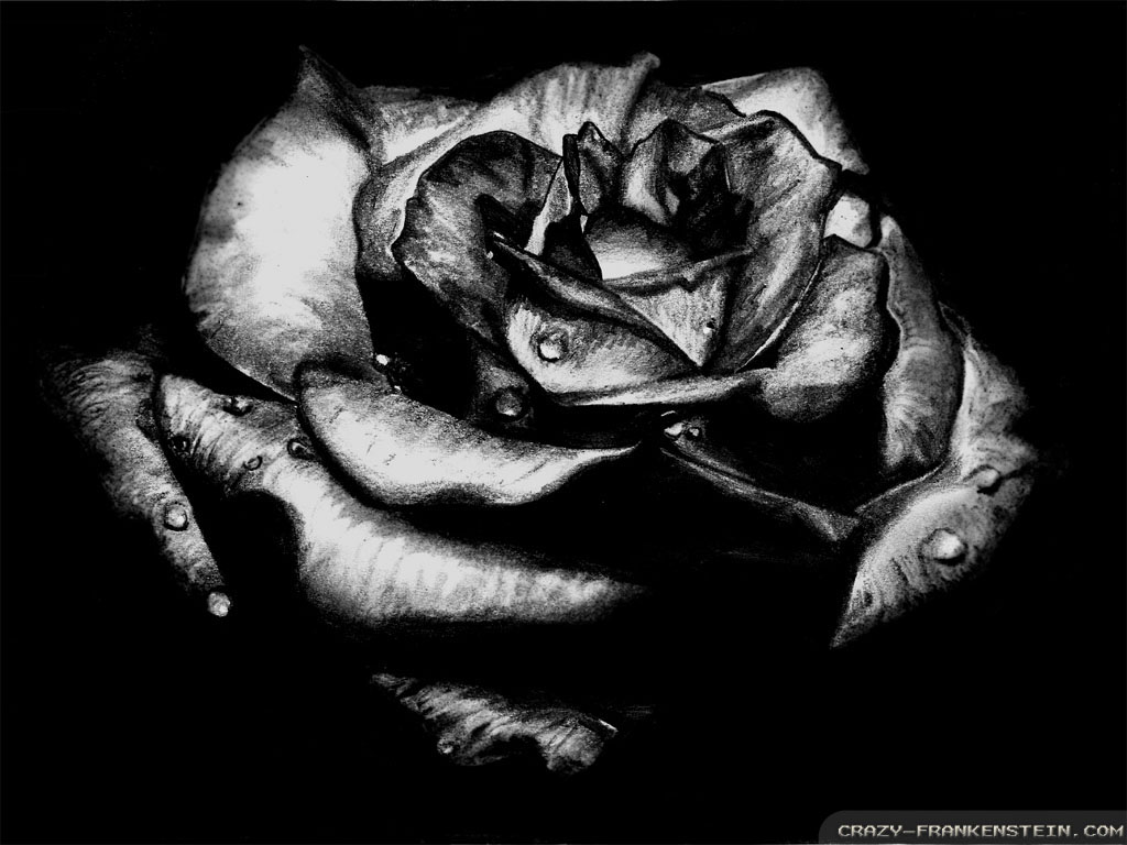 Black-rose-gothic-wallpapers-1024x768 by geny-evilgoth16 on DeviantArt Black-rose-gothic-wallpapers-1024x768 by geny-evilgoth16 on DeviantArt