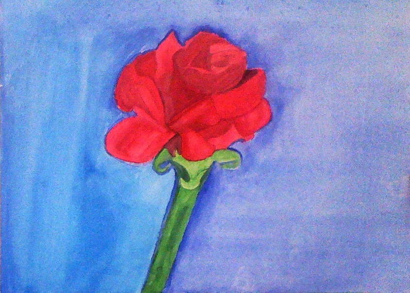 Water Color Rose