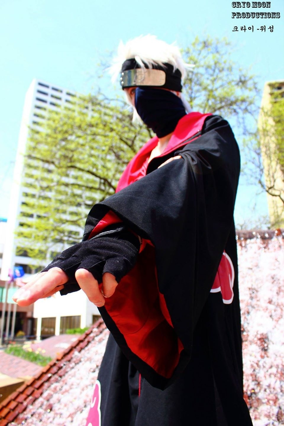 Kakashi Akatsuki