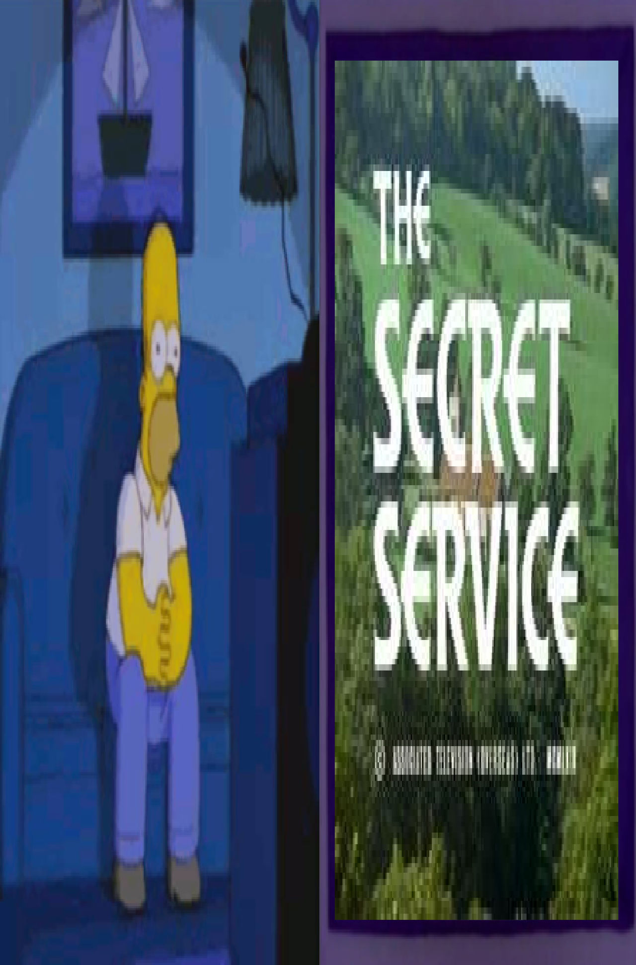 Homer Simpson Watches The Secret Service by Perro2017 on DeviantArt