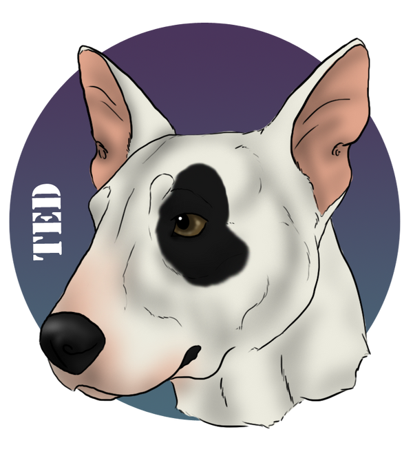 Ted by scruffymongrel on DeviantArt