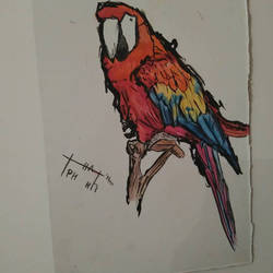 Parrot painting