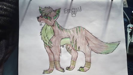 Emerald's Wolf form