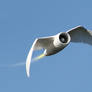 JetBird
