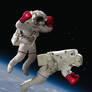 SpaceBoxing