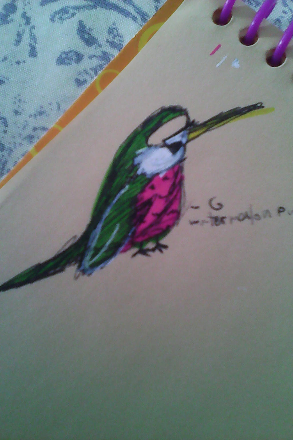 Hummingbird