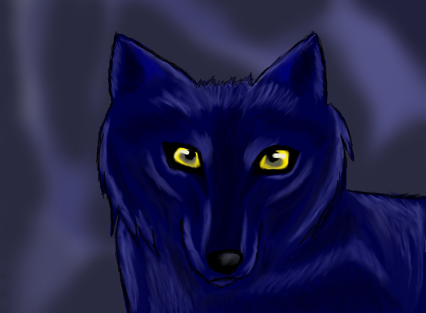 Dark Blue Wolf by MidoriOokami12 on DeviantArt