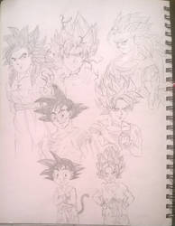 Dragon ball z: stages of Goku