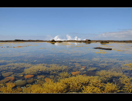 Rock Pools