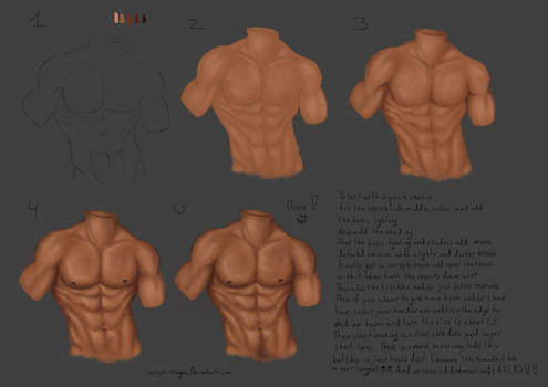 Easy male torso tutorial by Vanya-Ninque