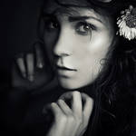 4365988 by green-jam