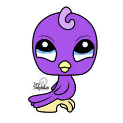 Candy the Parakeet