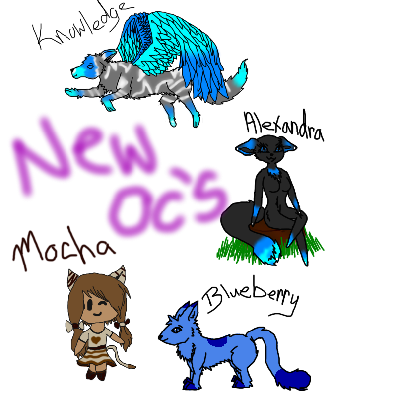 New OC's