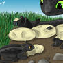 Night Fury Hatchlings