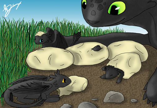 Night Fury Hatchlings