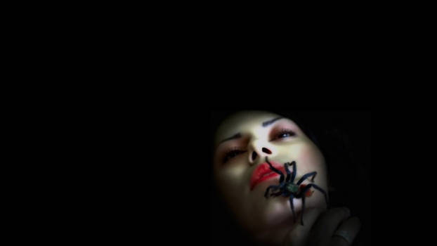 The Damned Spider Lady