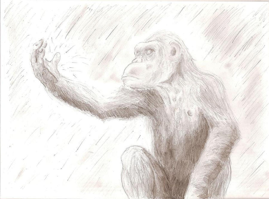 Sentient Drawing sentience , pencil version by aspieomnipintent on DeviantArt