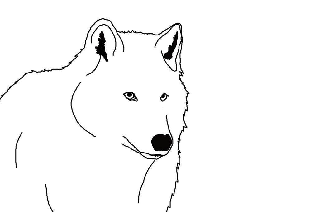 Basic Wolf Lineart Wolf lineart by BeforeEarth on DeviantArt