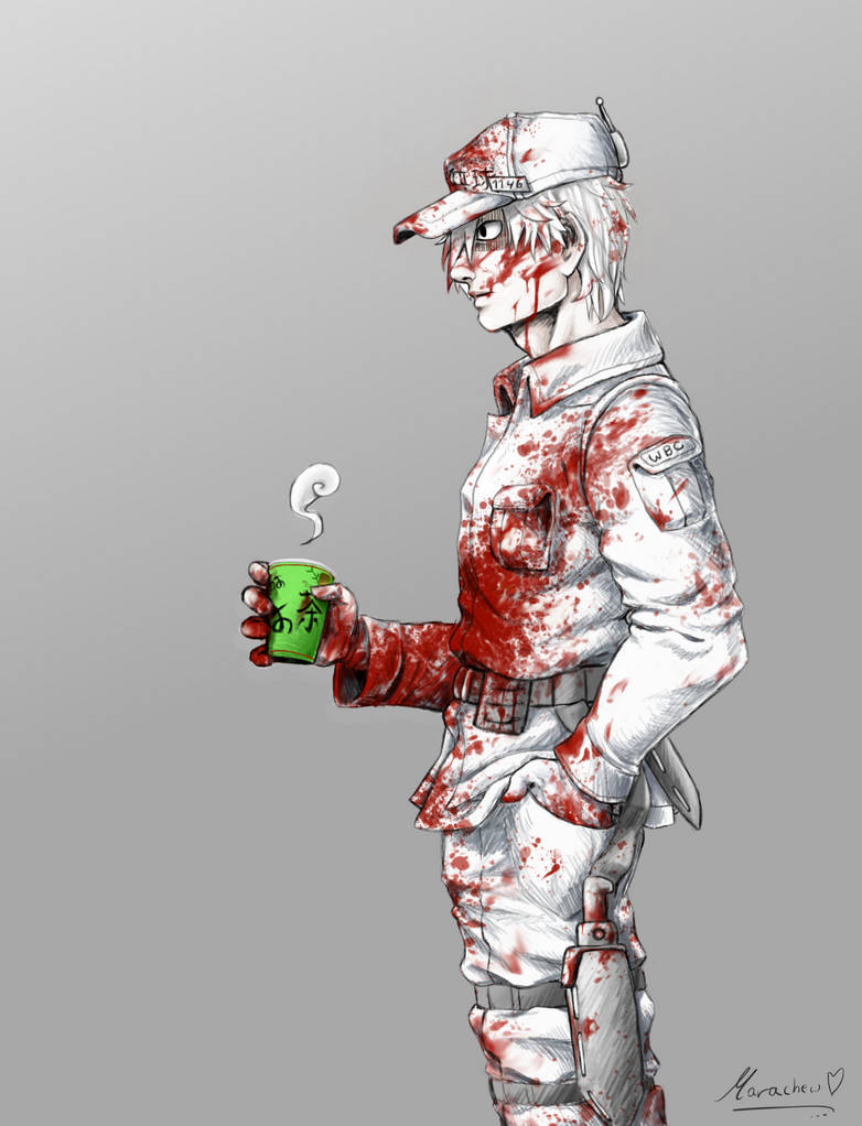 Cells At Work Hataraku Saibou Fan Art By Marachew On Deviantart Cells At Work Hataraku Saibou Fan Art By Marachew On Deviantart