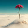 Life finds a way.