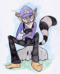 Walu racoon by Kelos-Kreations