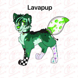 Lavapup