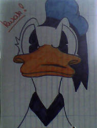 donald duck