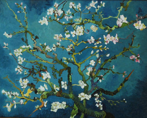 Van Gogh's Almond Tree