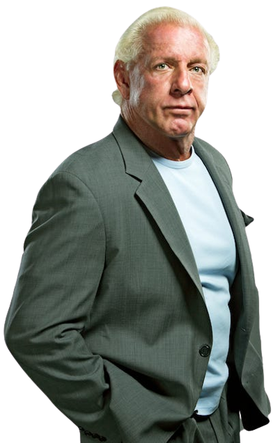 Ric Flair TNA/IMPACT 2010-2011 Render by burnsbrianwildcat87 on DeviantArt