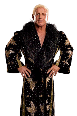 Ric Flair 2005-2008 WWE PNG/Render by burnsbrianwildcat87 on DeviantArt