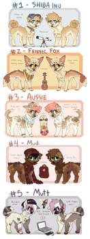 5 canines for auction - closed