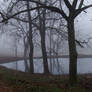 Pond and Trees