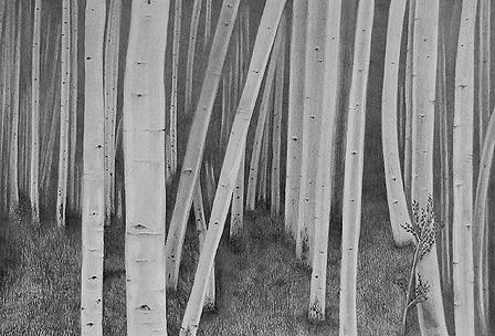 Aspens II