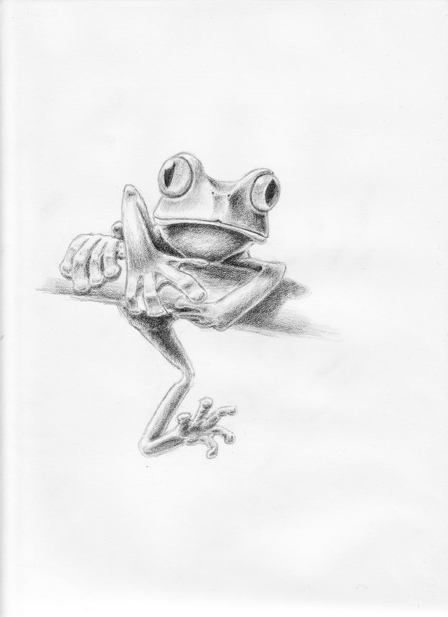 Red Eyed Tree Frog By Mjedewaard On Deviantart