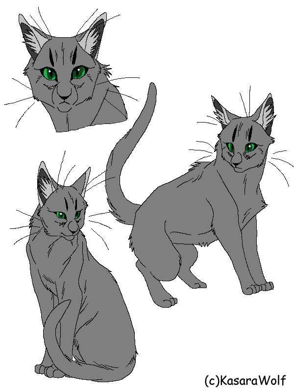 Random Kitty by livy1023 on DeviantArt