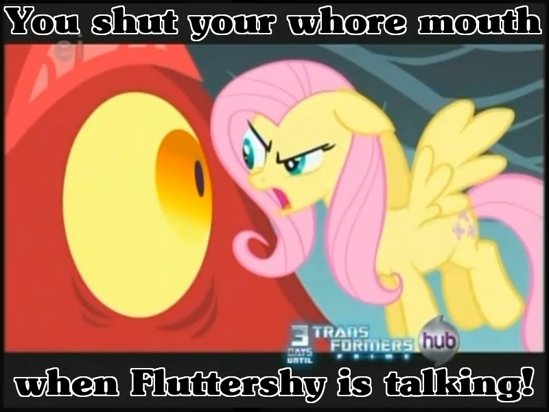 Don't mess with Fluttershy