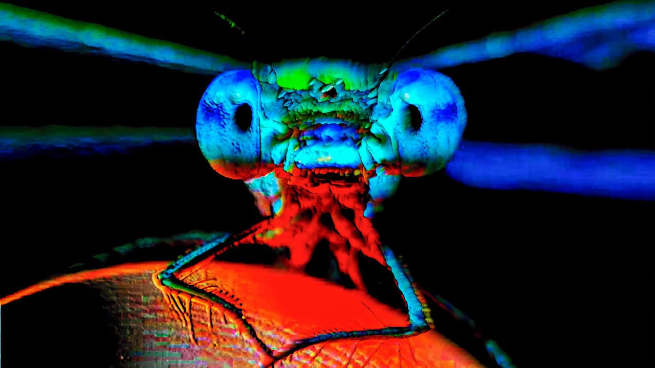 G Rrrrrrr Grrrrrrr edited photos v2 custom16,9 edited by wadabla on DeviantArt