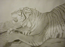 Ink Wash Tiger