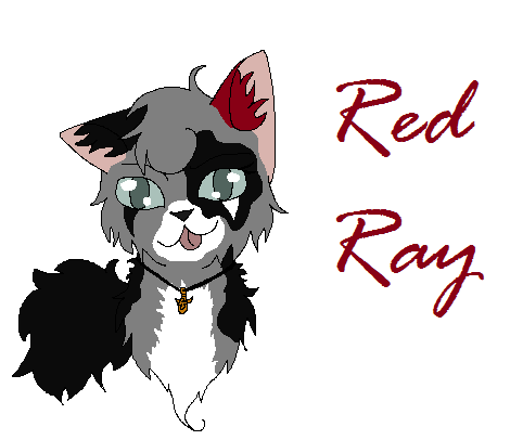 Red Ray new version