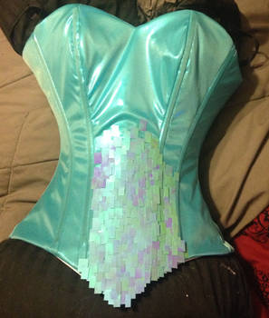 Elsa Bodice WIP