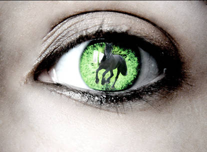 Eye of the Horse Lover