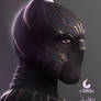 T'Challa (Black Panther)