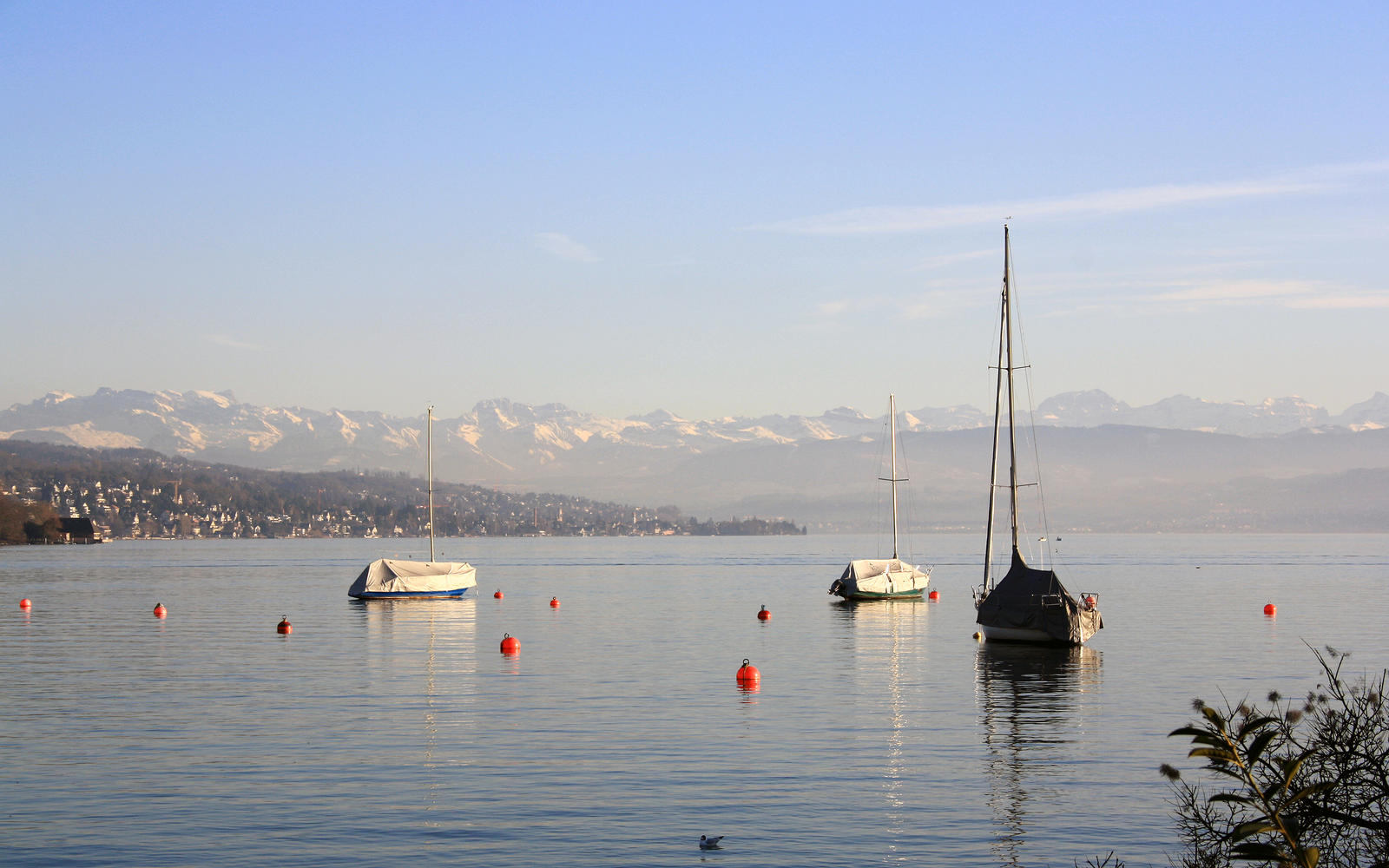 Zurich lake