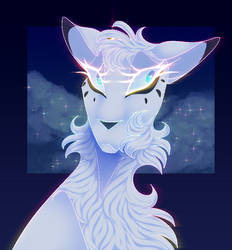 SnowFur