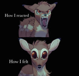 How I felt